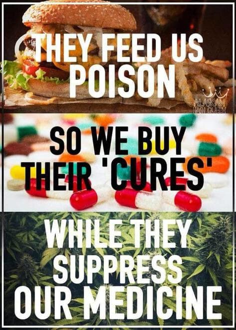 They Feed Us Poison meme template