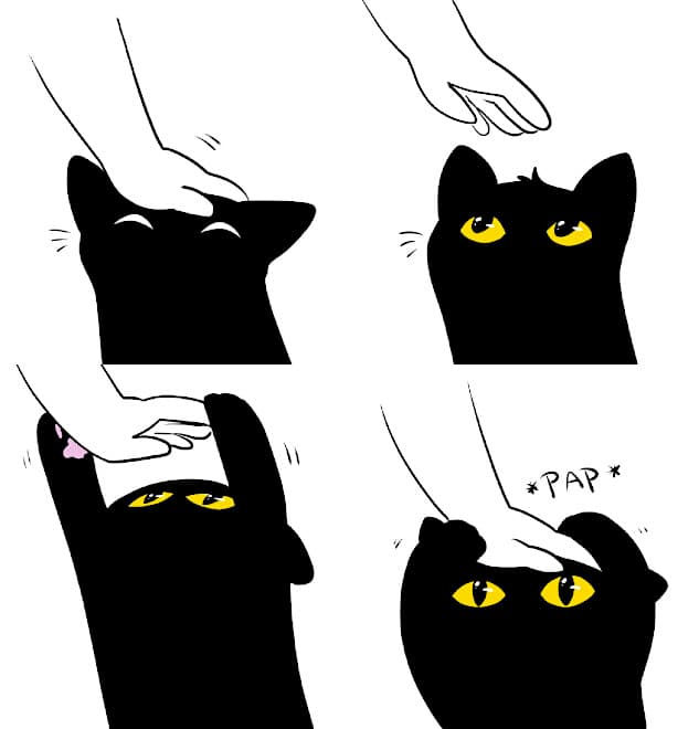 Cat Pap meme template