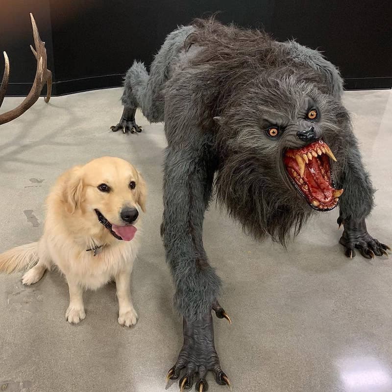 Dog vs. Werewolf meme template