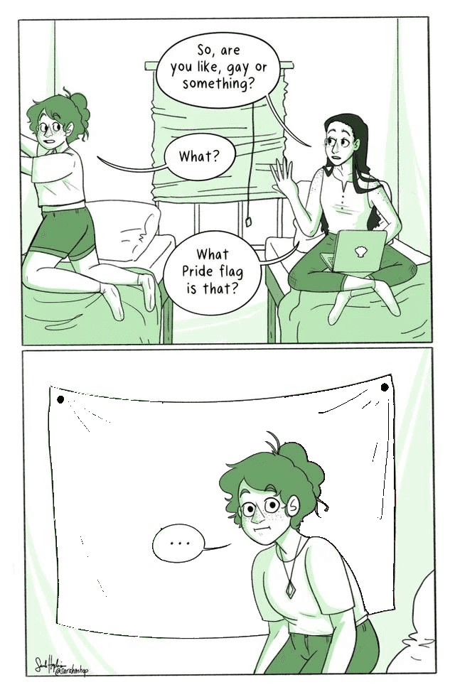 What Pride Flag Is That? meme template