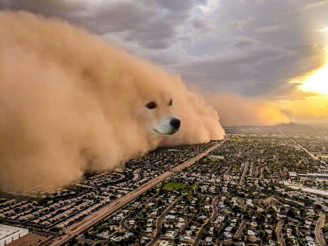 Dust Storm Dog meme template