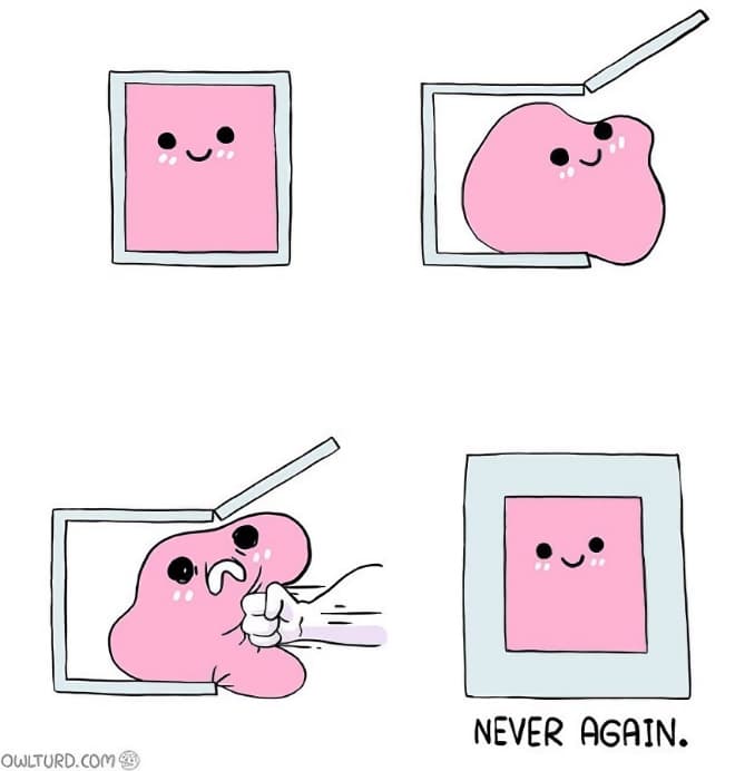 Never Again meme template