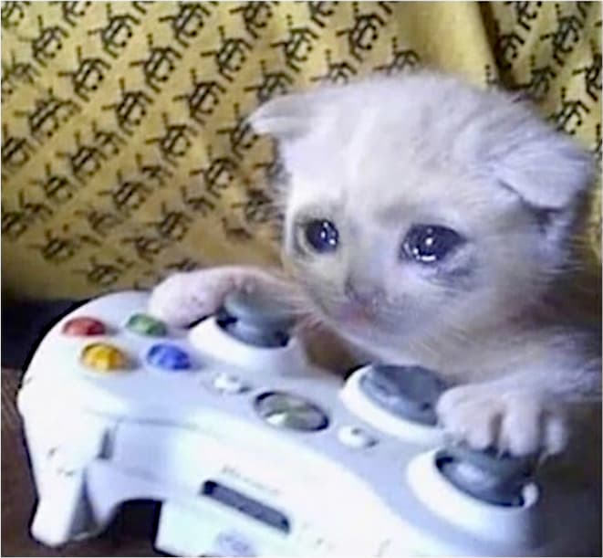 Sad Gaming Cat meme template