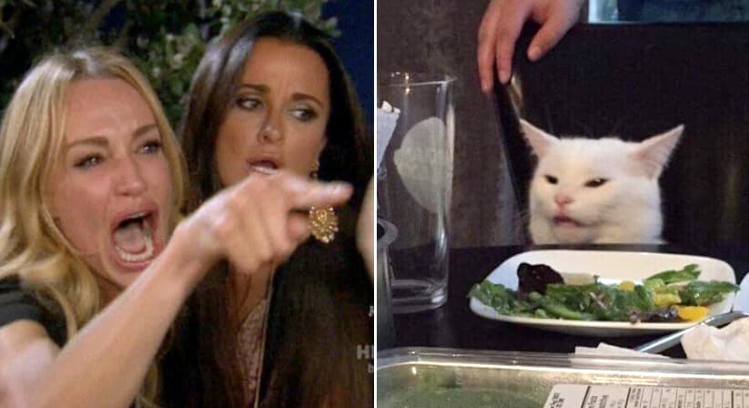 Woman Pointing At Cat meme template