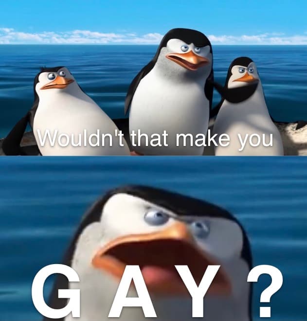Wouldn't That Make You Gay? meme template